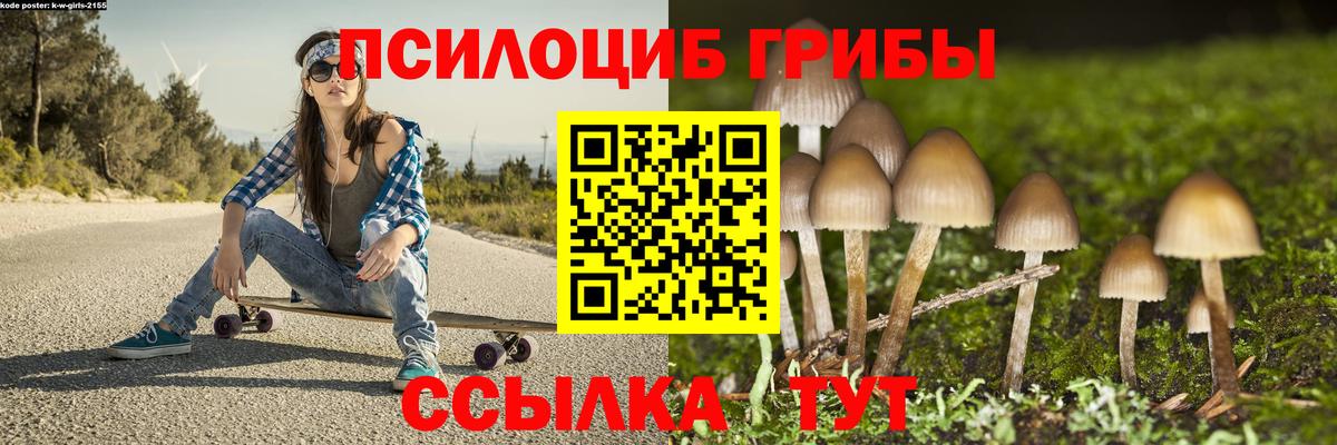 Галлюциногенные грибы Psilocybe Малоярославец