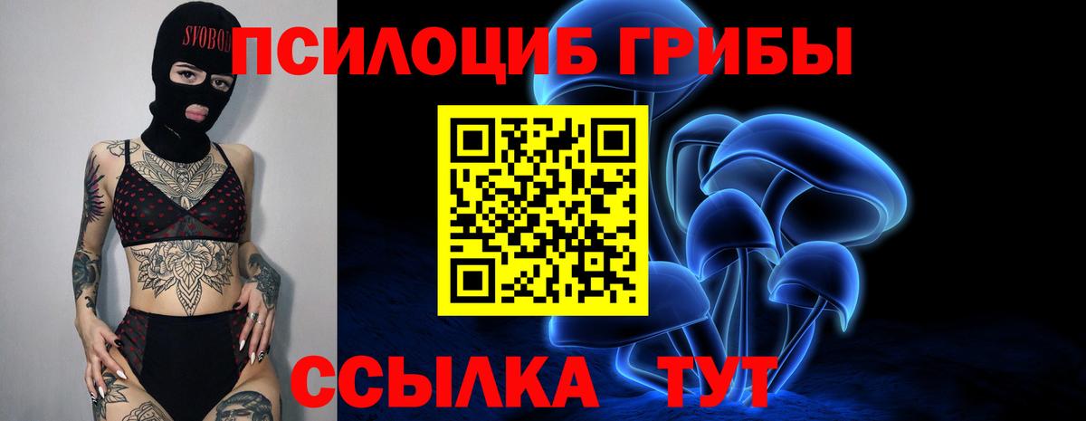 Малоярославец  Псилоцибиновые грибы мухоморы  Вход с VPN  Галлюциногенные грибы Magic Shrooms 